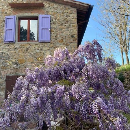 Antico Casale Il Fiorentino Montenero  Esterno foto