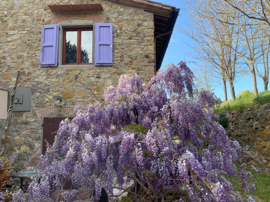 Antico Casale Il Fiorentino Montenero  Esterno foto