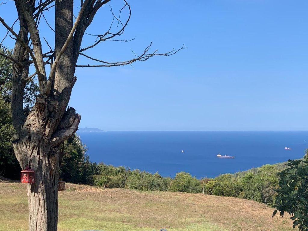 Antico Casale Il Fiorentino Montenero  Esterno foto